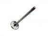 Exhaust Valve:119 050 10 27