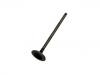 Exhaust Valve:14721-PDA-E00