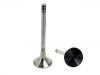 Valvula de escape Exhaust Valve:11 34 1 722 909