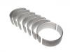  Con Rod Bearing:71-3419/4