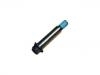 Chain Adjuster:AW 317246