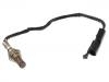 Oxygen Sensor:25 165 116