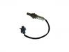 Sonda lambda Oxygen Sensor:55566648