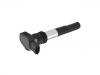 点火线圈 Ignition Coil:248404