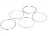 Piston Rings:11 25 7 561 848