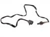 氧传感器 Oxygen Sensor:LF17-18-861B