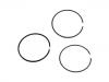 活塞环 Piston Rings:LFP101360