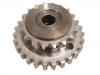 正时齿轮 Timing Gear:12590923