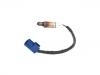 Oxygen Sensor:226A0-AM601