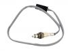 Oxygen Sensor:11 78 8 631 393