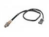 氧传感器 Oxygen Sensor:91 97 773