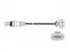 氧传感器 Oxygen Sensor:93 177 169