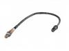 Oxygen Sensor:11 78 7 539 125