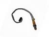 Oxygen Sensor:06A 906 262 CB