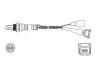 Oxygen Sensor:0 258 003 005