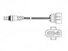 Lambdasonde Oxygen Sensor:0 258 005 179